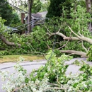 Kelley’s Southern Land Clearing