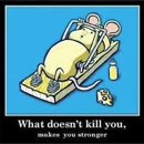 LA Fitness - Health Clubs