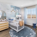 Towns - Taylor Morrison - Home Builders