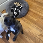 Mary Puppins