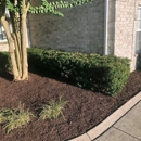 ENS Lawn Care & Landscaping - Gardeners
