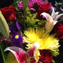 Flower Express - Garden Centers