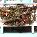 Port Lobster - Lobsters