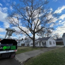 Specialty Tree & Bucket Service - Tree Service