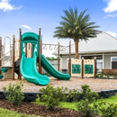 KB Home Meadows at Oakleaf Townhomes - Home Builders