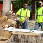 Matt's Tree Service
