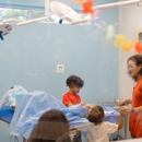 CityVet | Virginia Beach - Pet Services