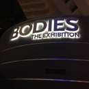 Bodies The Exhibition - Places Of Interest