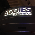 Bodies The Exhibition