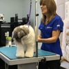 San Diego Grooming Academy gallery