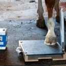 Peak Performance Veterinary Care - Veterinarians