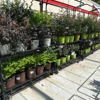 Tractor Supply Co gallery
