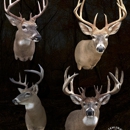 Stehling's Taxidermy