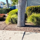 ACE Certified Tree Care - Tree Service