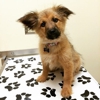 Countryside Veterinary Clinic gallery