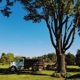 Sweet’s Tree Service