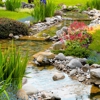 Living Waters Pond Supplies gallery