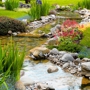 Living Waters Pond Supplies