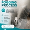 BestPro Mold Removal gallery