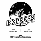 Express Tree Service