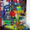 Critters Pet Shop gallery