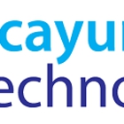 Picayune Technology