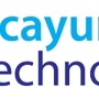 Picayune Technology