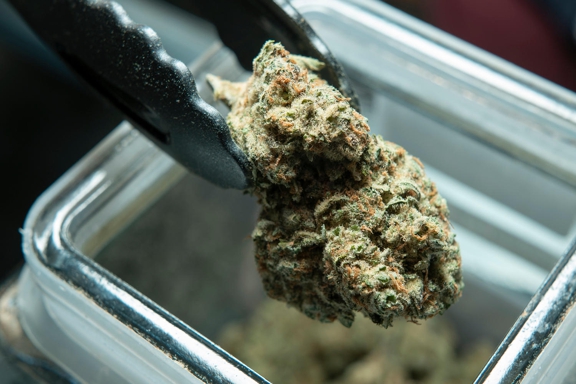 Star Buds Recreational Marijuana Dispensary Federal Heights - Westminster, CO