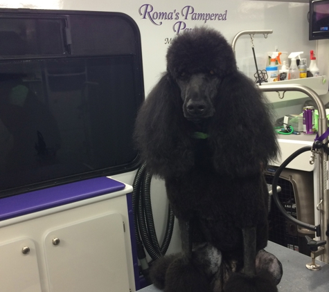 Roma's Pampered Paws - Pickerington, OH