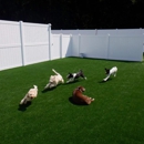 Island Pawplex Pet Retreat
