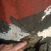 Redeemed Roofing Systems LLC gallery