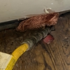 StrongArm Pest Control gallery