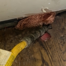 StrongArm Pest Control - Pest Control Services