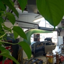 Selecta Auto Body - Auto Repair & Service