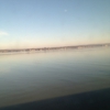 Flying Point Marina gallery
