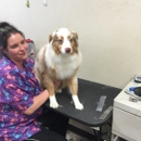Kountry Klippers - Dog & Cat Grooming & Supplies