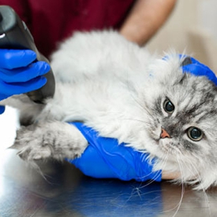 Reynella Veterinary Clinic - Morphett Vale, SA