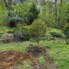 Precision Tree and Landscape gallery