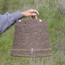 Bee Free - Bee Control & Removal Service