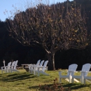 Savannah-Chanelle Vineyards - Business Plans Development