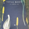 Vital Root gallery