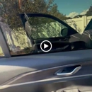 Windshield Go