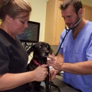 Animal Hospital of South Carolina - Veterinary Clinics & Hospitals
