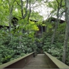 Caruso Victor AIA Architects gallery