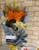 Jazmine Flowers and Gifts - Florists