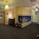 Boulder East West Acupuncture - Acupuncture