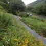 Lehigh Gap Nature Center