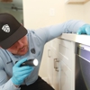 EcoShield Pest Solutions gallery