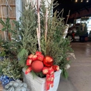 Cal's Market & Garden Center - Ponds, Lakes & Water Gardens Construction