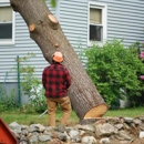 Tennett Tree Services Inc - Arborists